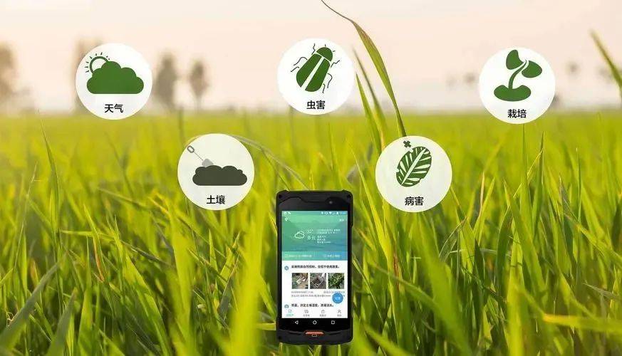 智慧农业助力农业现代化的发展